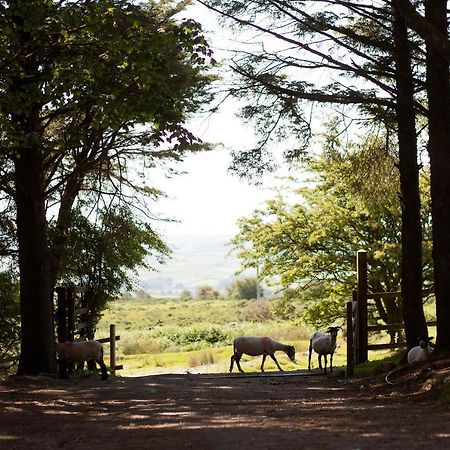 Wheal Tor Hotel & Glamping Liskeard Exteriér fotografie